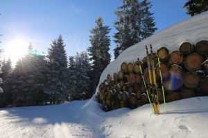 Loipe in Oberhof